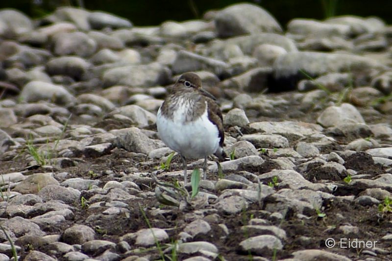 009_FUL_River_Lochy_028