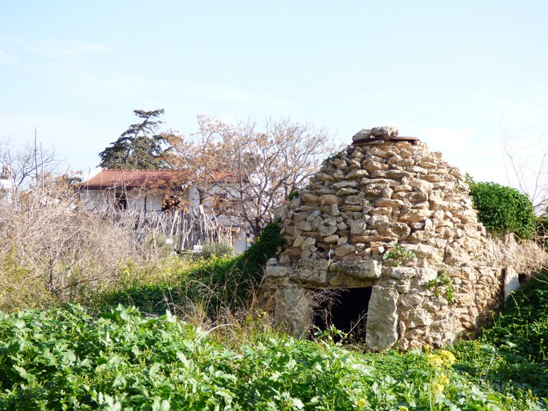 07_P1260593_Oekodorf