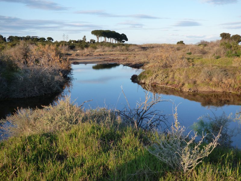 03_P1270453_Famagusta-Bucht-Feuchtgebiete