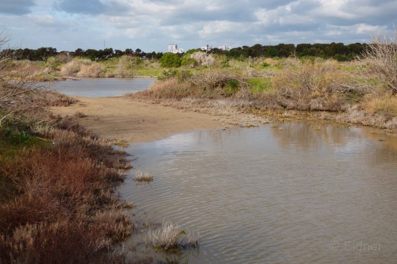 09_Famagusta-Bucht-Feuchtgebiete