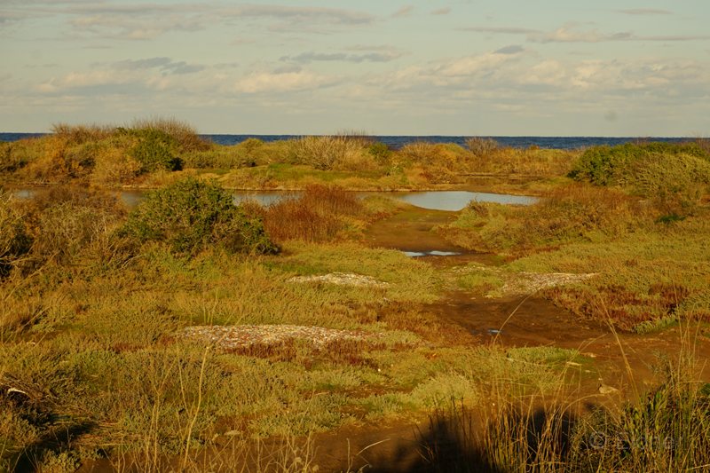 10_Famagusta-Bucht-Feuchtgebiete