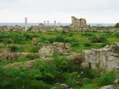 04_DSC01789a_antikes-Salamis