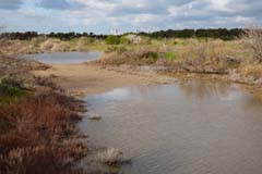 09_Famagusta-Bucht-Feuchtgebiete