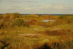 10_Famagusta-Bucht-Feuchtgebiete