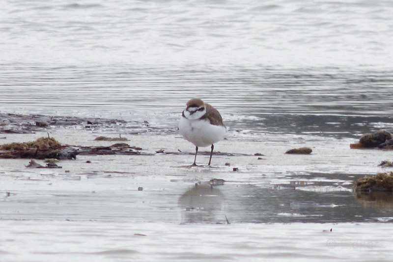 02_P1280079a_SilverBeach