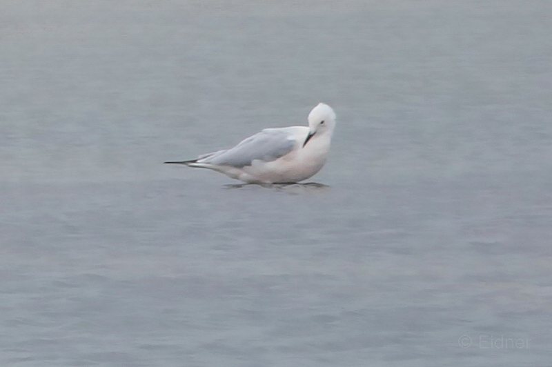 03_P1280189s_SilverBeach