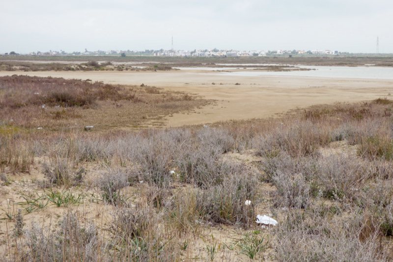 04_P1280121a_SilverBeach