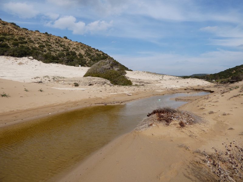 05_P1260628_Karpaz-Halbinsel