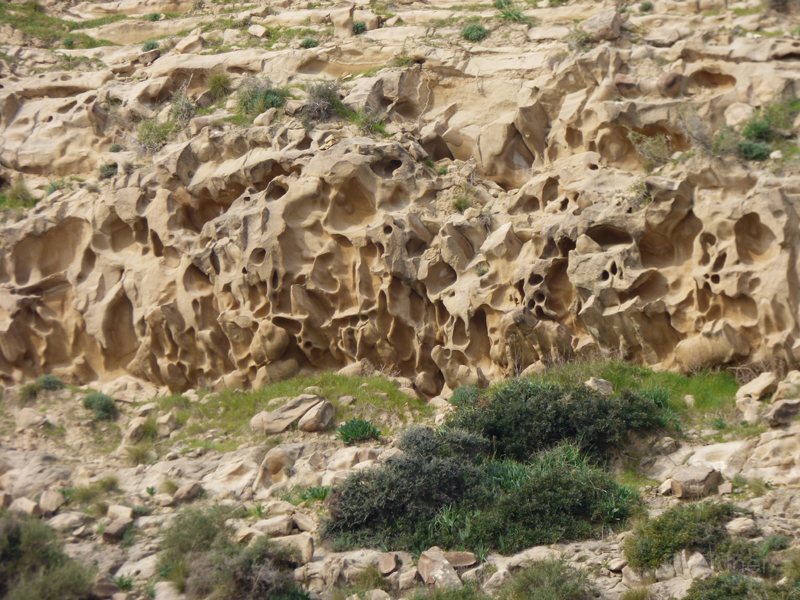 06_P1260615_Karpaz-Halbinsel