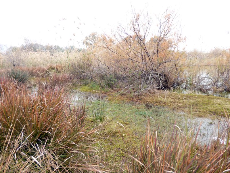 12_P1270936_Canakkale-See 