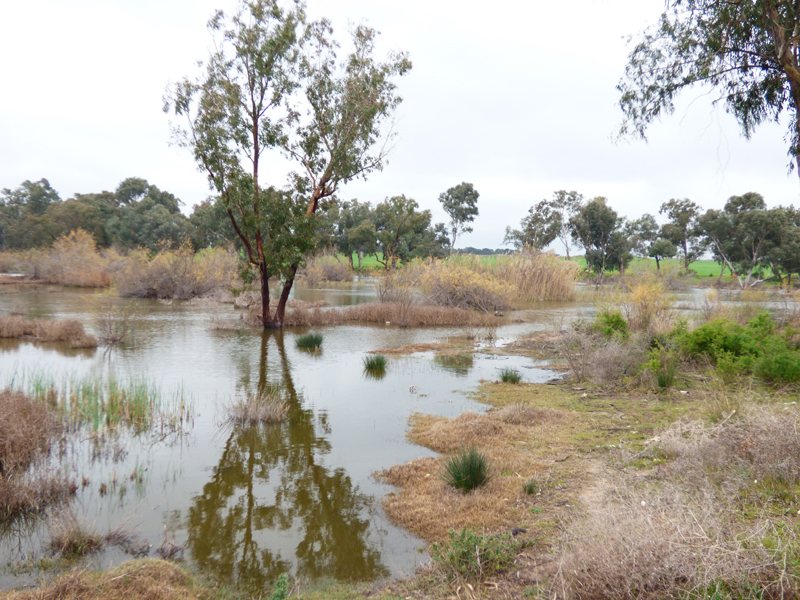 16_P1280004_Canakkale-See