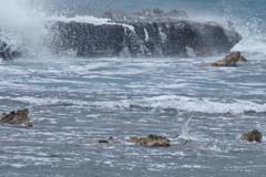 01_P1280316a_SilverBeach