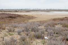 04_P1280121a_SilverBeach