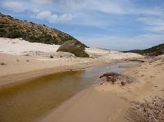 05_P1260628_Karpaz-Halbinsel