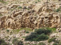 06_P1260615_Karpaz-Halbinsel