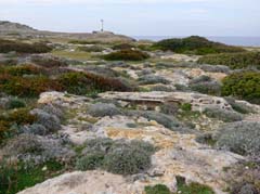 08_P1260683a_Karpaz-Halbinsel