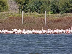 10_P1270782a_Guelseren-See