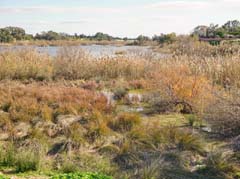 11_DSC01247a_Canakkale-See 