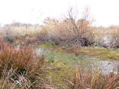 12_P1270936_Canakkale-See 