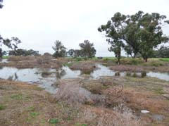 14_P1270975_Canakkale-See 