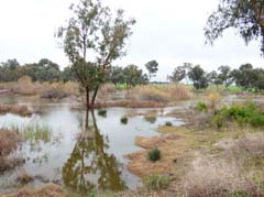 16_P1280004_Canakkale-See