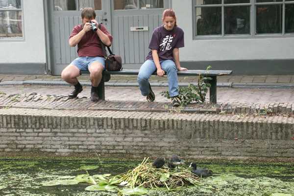 bild20.jpg