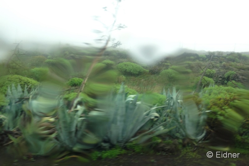 08_DSC00629b_gestaucht_Joki