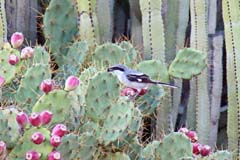 03_Brache_IMG_7353a3bs_Gina