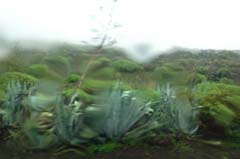 08_DSC00629b_gestaucht_Joki