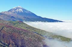 12_DSC04125a2b2_Joki