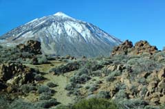 16_DSC03717b_Joki_entspiegelt