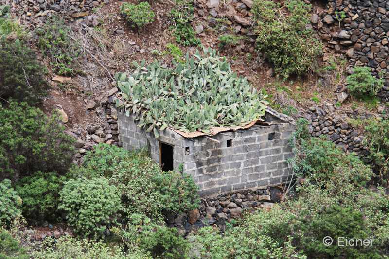 G03_3_unterwegs_IMG_7539b2_Gina