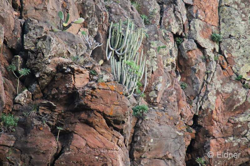 G04_3_unterwegs_IMG_7676b_Gina