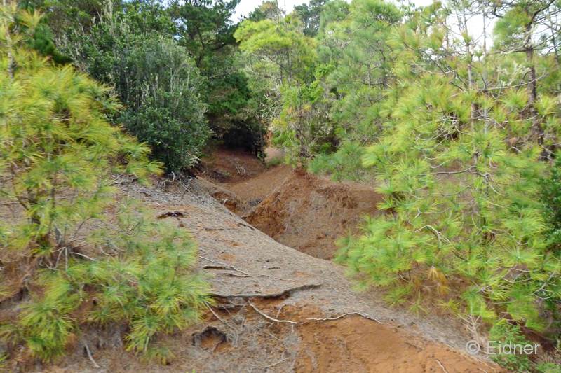 G05_3_unterwegs_P1170396ab_Gina