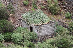 G03_3_unterwegs_IMG_7539b2_Gina