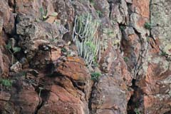 G04_3_unterwegs_IMG_7676b_Gina