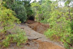 G05_3_unterwegs_P1170396ab_Gina