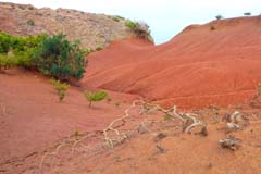 G09_oh_Agulo_P1170479ab2_Gina