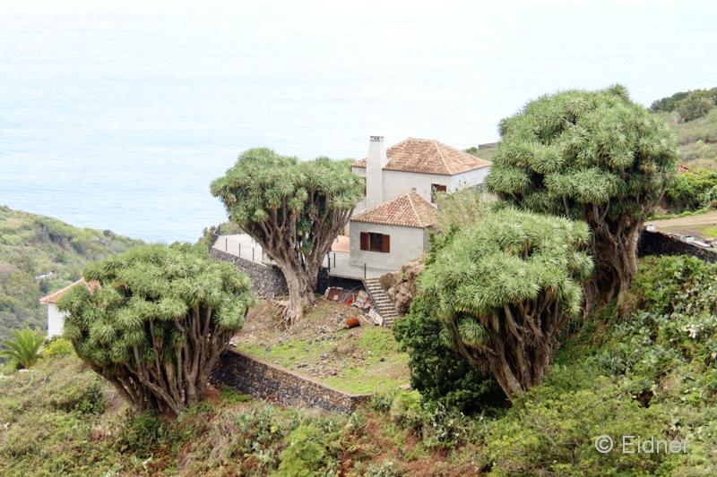 P01_31_Tosca_IMG_7681b_Gina