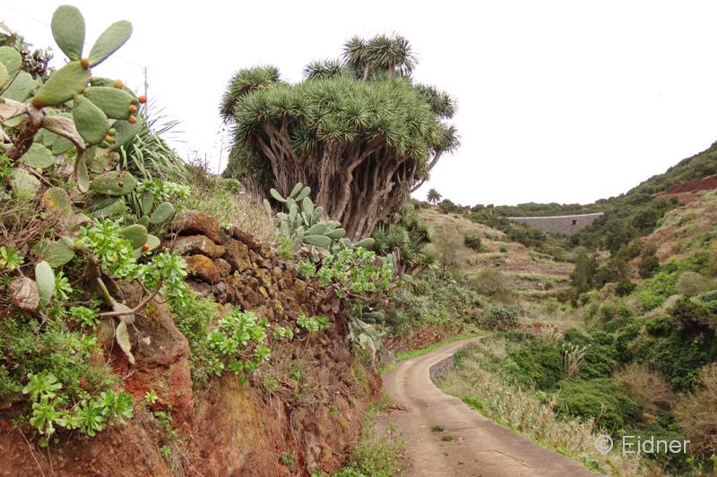 P02_33_Tosca_DSC01688ab_Joki