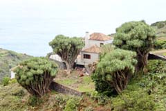 P01_31_Tosca_IMG_7681b_Gina