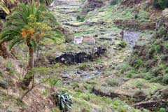 P08_39_IMG_0003a_Gina_Vogelbeob_1