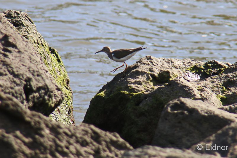 CC04_Puerto_IMG_8145a2bs_Gina