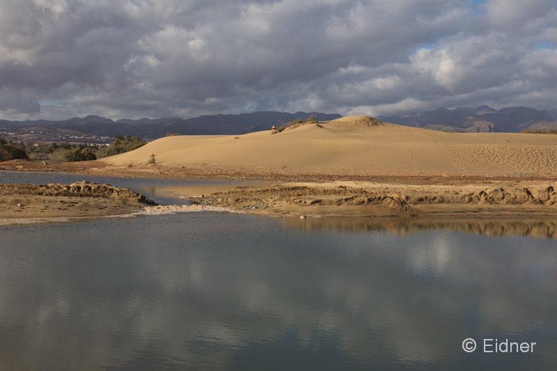 CC05__IMG_9134b_Joki