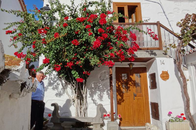 CC09_Fataga_DSC02839ab_Joki