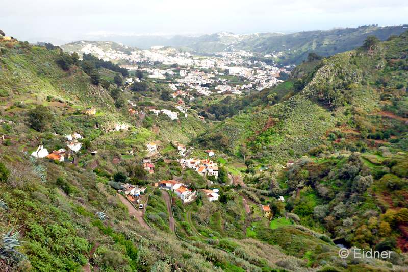 CC10_P1180829a2b_Gina