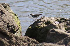 CC04_Puerto_IMG_8145a2bs_Gina