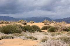 CC06_IMG_8875b3_Joki