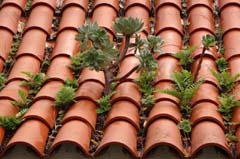 CC12_DSC03108av2_Joki