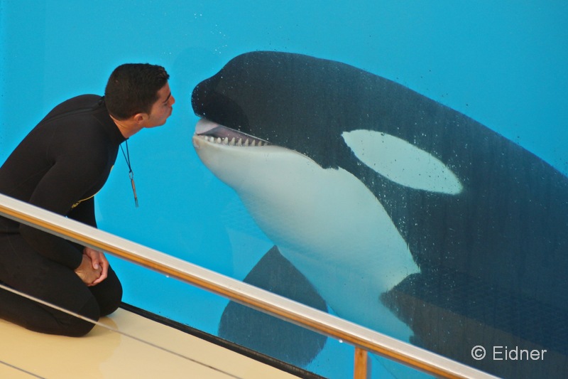 Loro_10_IMG_9541abs_Joki